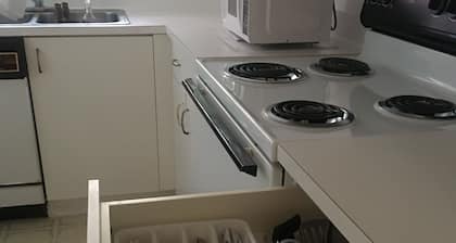 Residencia cerrada del jardín y jardín del sur de Miami