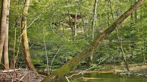 House, Multiple Beds (Creekside Retreat #208) | Property grounds - Creekside Retreat #208 (Sevierville)
