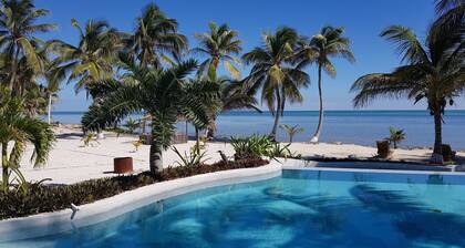 Sunfish 202 -Beachfront Condo