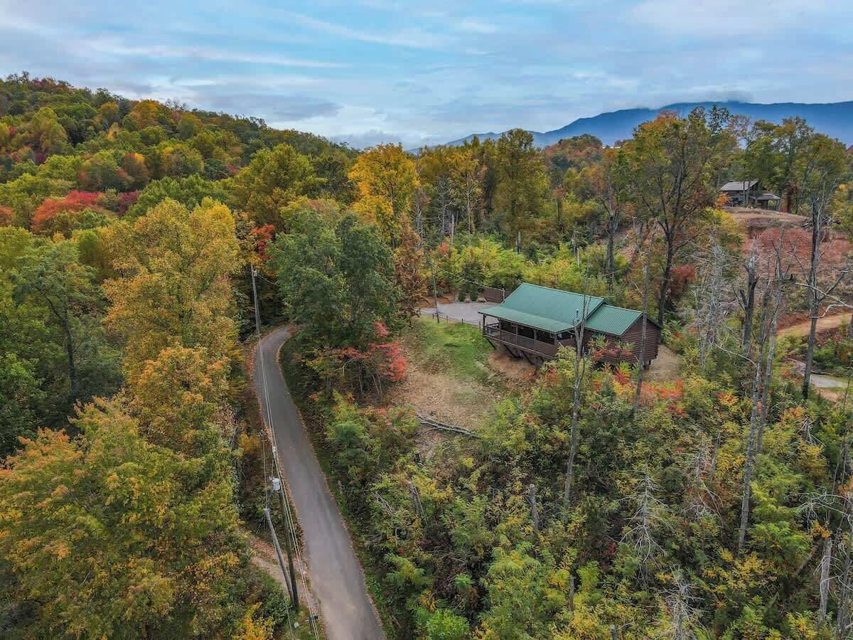 A cabin surrounded by a forest with a winding road.
