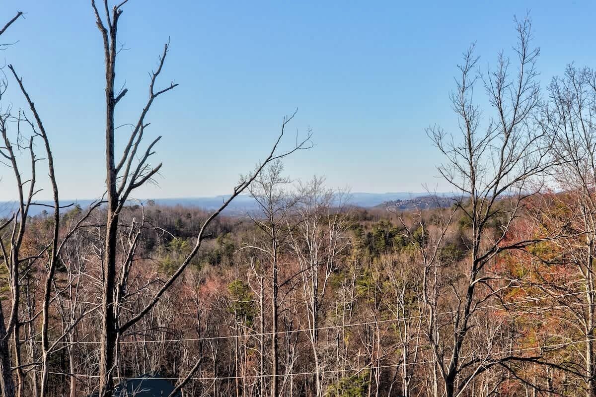 Une vue d’un paysage boisé, avec des arbres sans feuilles et, au loin, des collines.