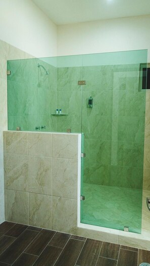Shower, free toiletries, hair dryer, towels - La Lola Hotel & Suites (Mazatlán)