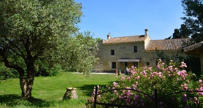 Mas Delgado, im Herzen des Luberon, am Fuße des Mont Ventoux, in einer Zucht iberischer Pferde.