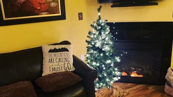 Smart TV, fireplace, video games, DVD player