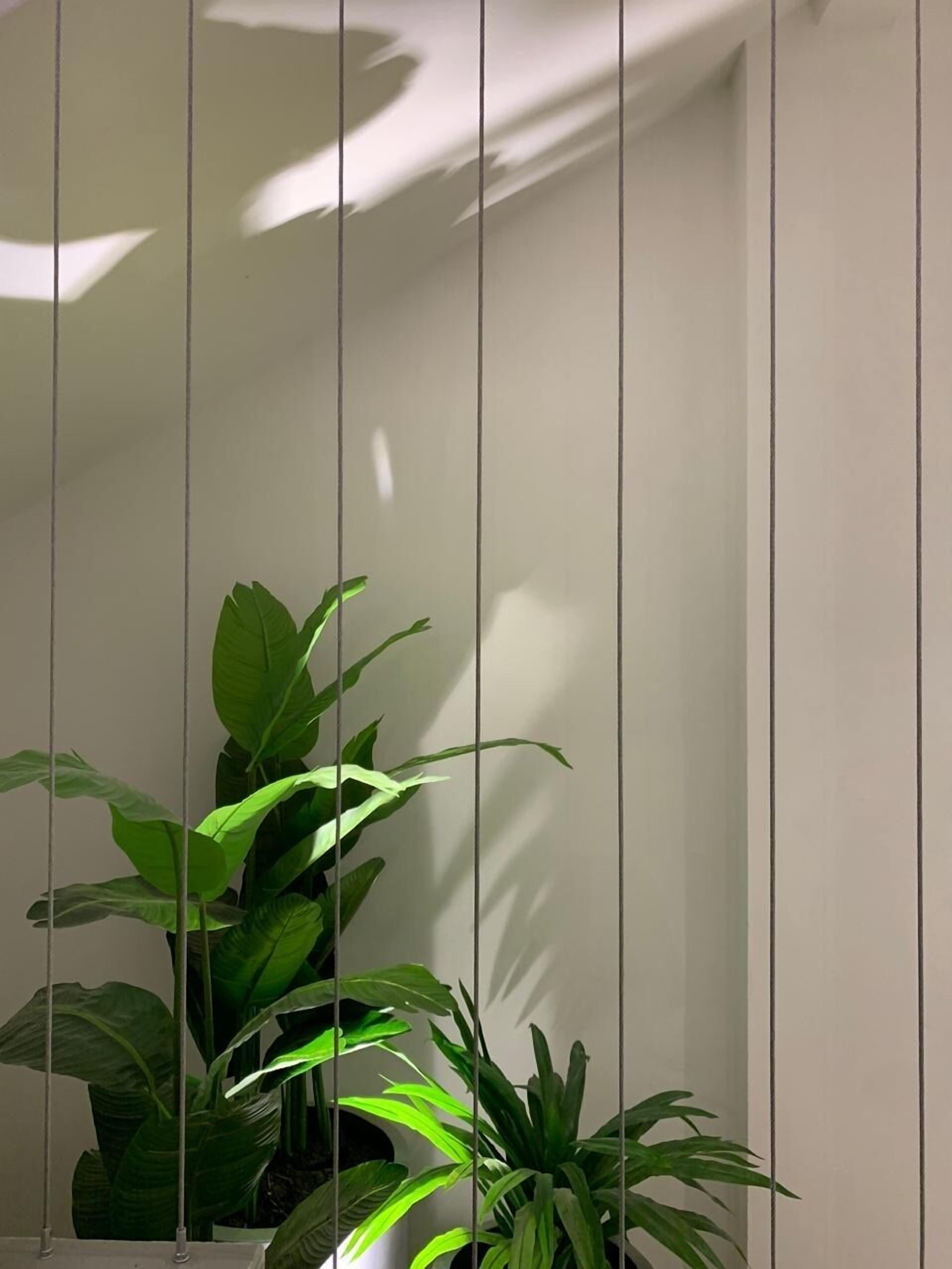 55-inch smart tv with cable channels, tv, netflix