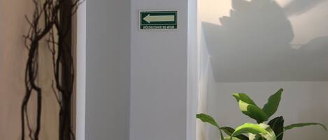 Zona de recepción con mostrador de mármol, plantas en macetas, lámpara colgante y señalización.