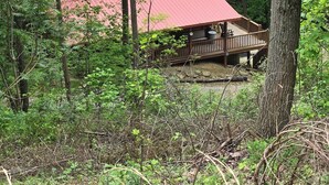 A cabin with a red roof, surrounded by dense forest. - Holler Cabin 4 bedroom Hocking Hills-Tar hollow (price calculated per #  guests) (Laurelville)
