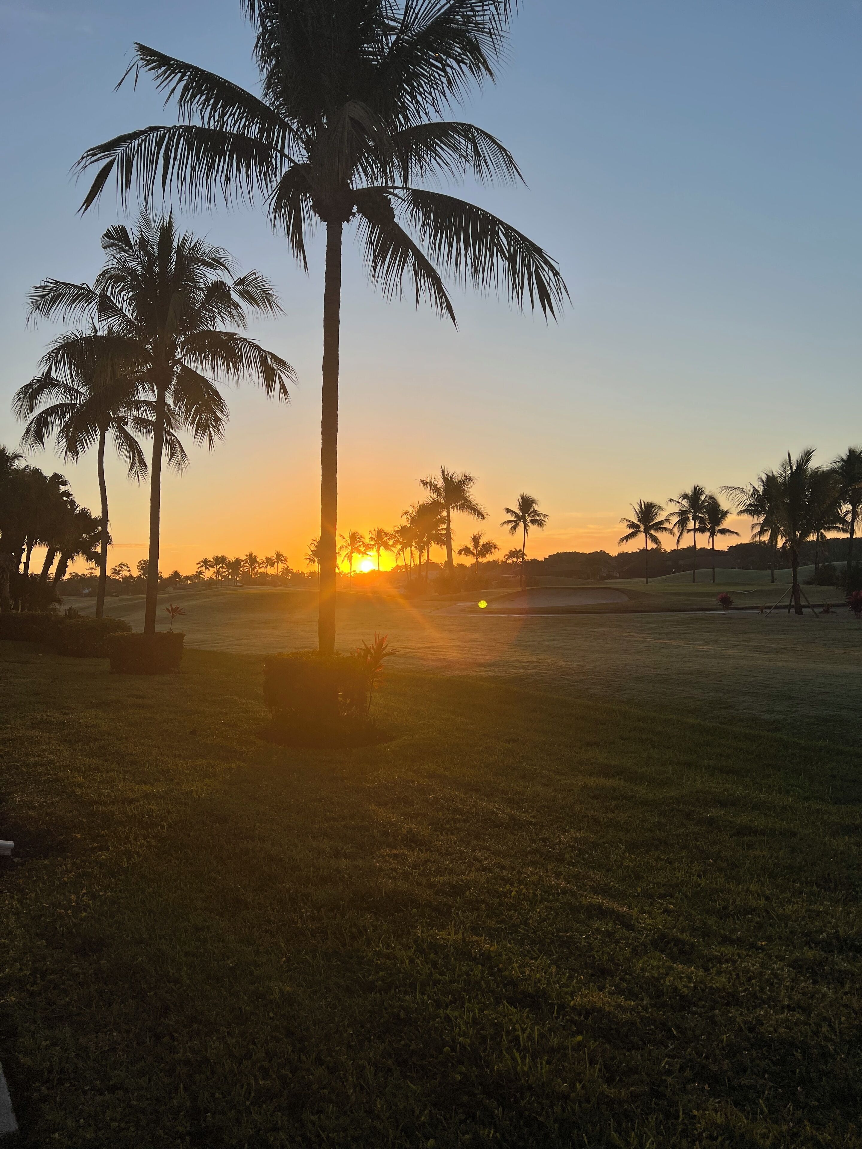 Golf