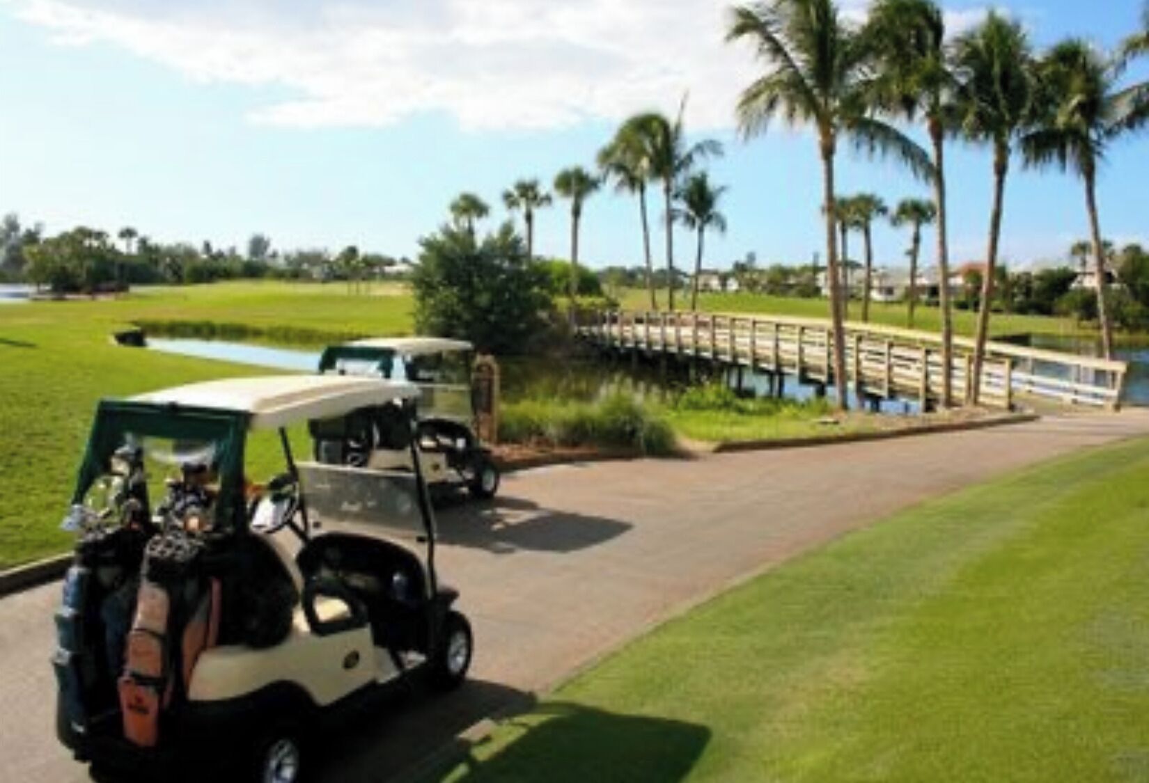 Un campo de golf con un puente sobre una masa de agua, palmeras y un carrito de golf.