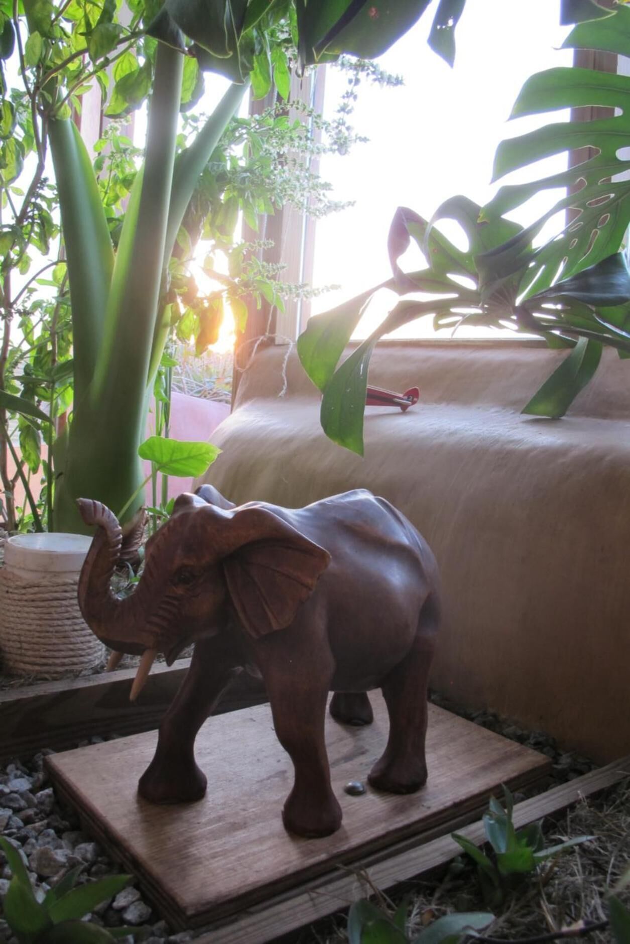 Foto - Caliu Earthship Ecolodge