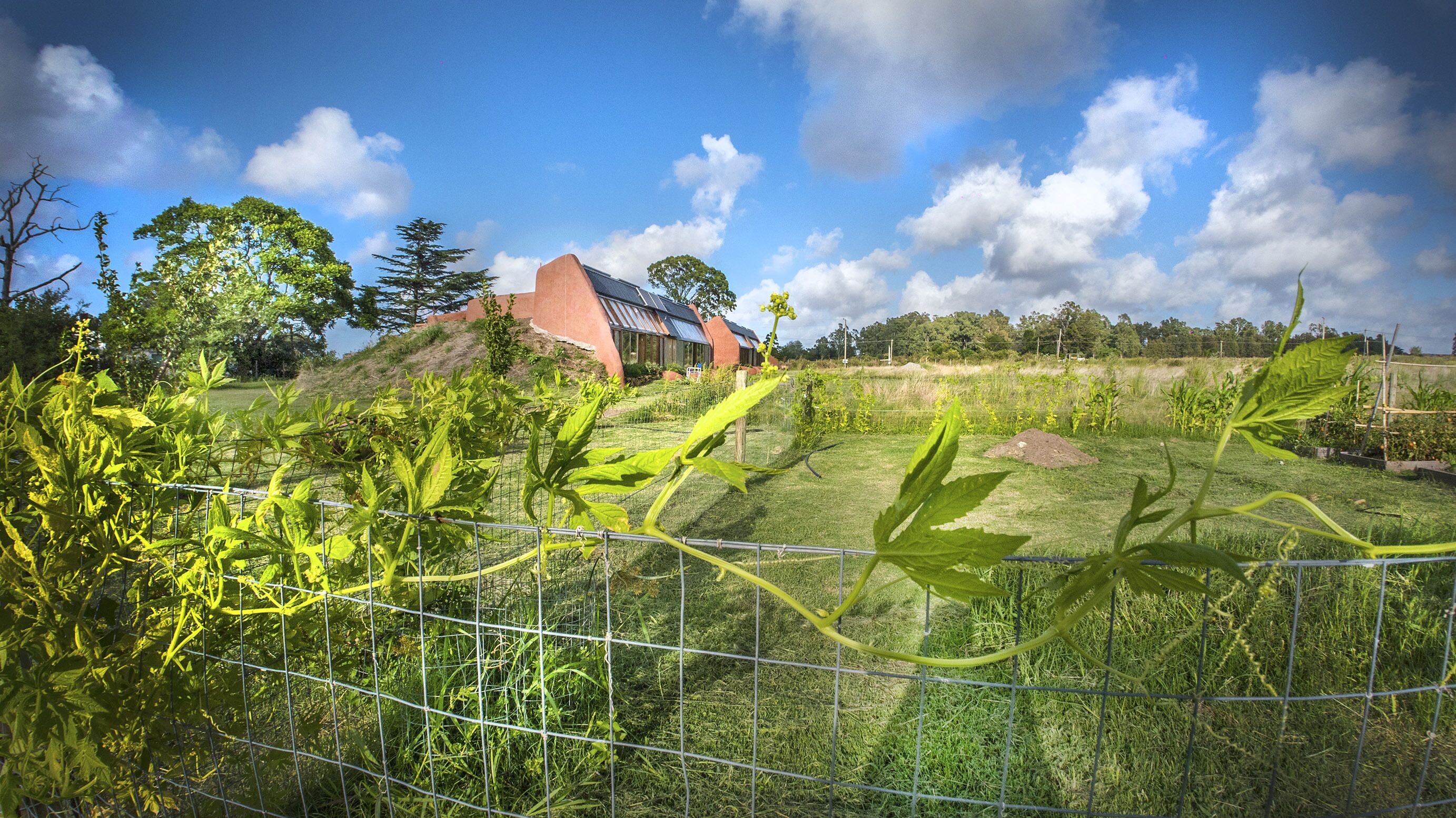 Foto - Caliu Earthship Ecolodge