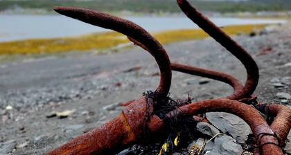 Squid Row Suites, direkt am Meer, Rocky Harbour NL