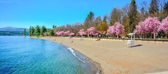Quiet Lakefront Home with Private Dock