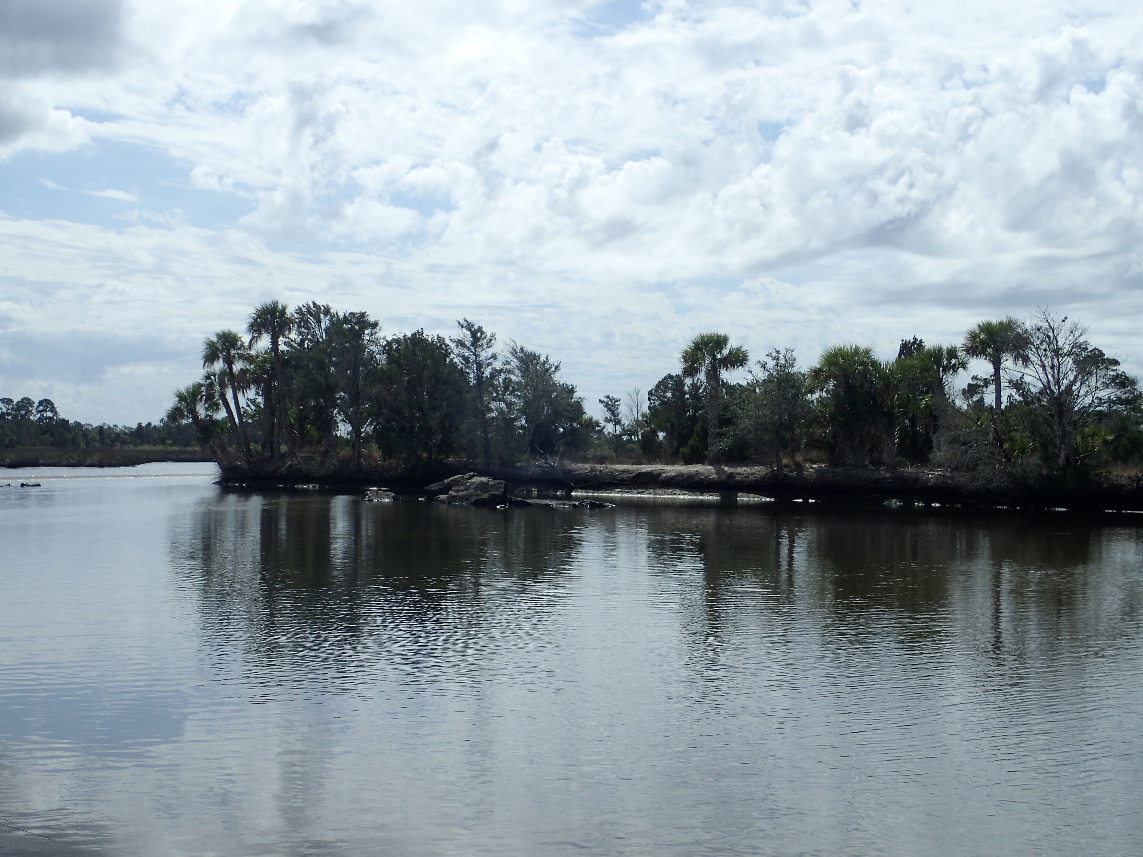 A calm lake with trees and a cloudy sky.