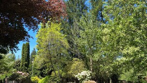 A well-maintained garden with a variety of trees and shrubs, a clear blue sky, and a grassy lawn. - Relax on the Ranch…..HOT TUB, SHEEP (Sultan)
