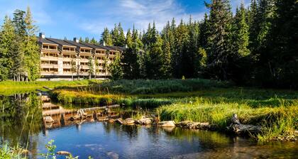 Luxury mountain home w/shared pool & hot tub, patio, balcony views, & free WiFi