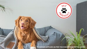 A dog on a grey couch with a pet-friendly sign in the background. - Wheeler Inn Texas, Us - 83 By OYO (Portland)