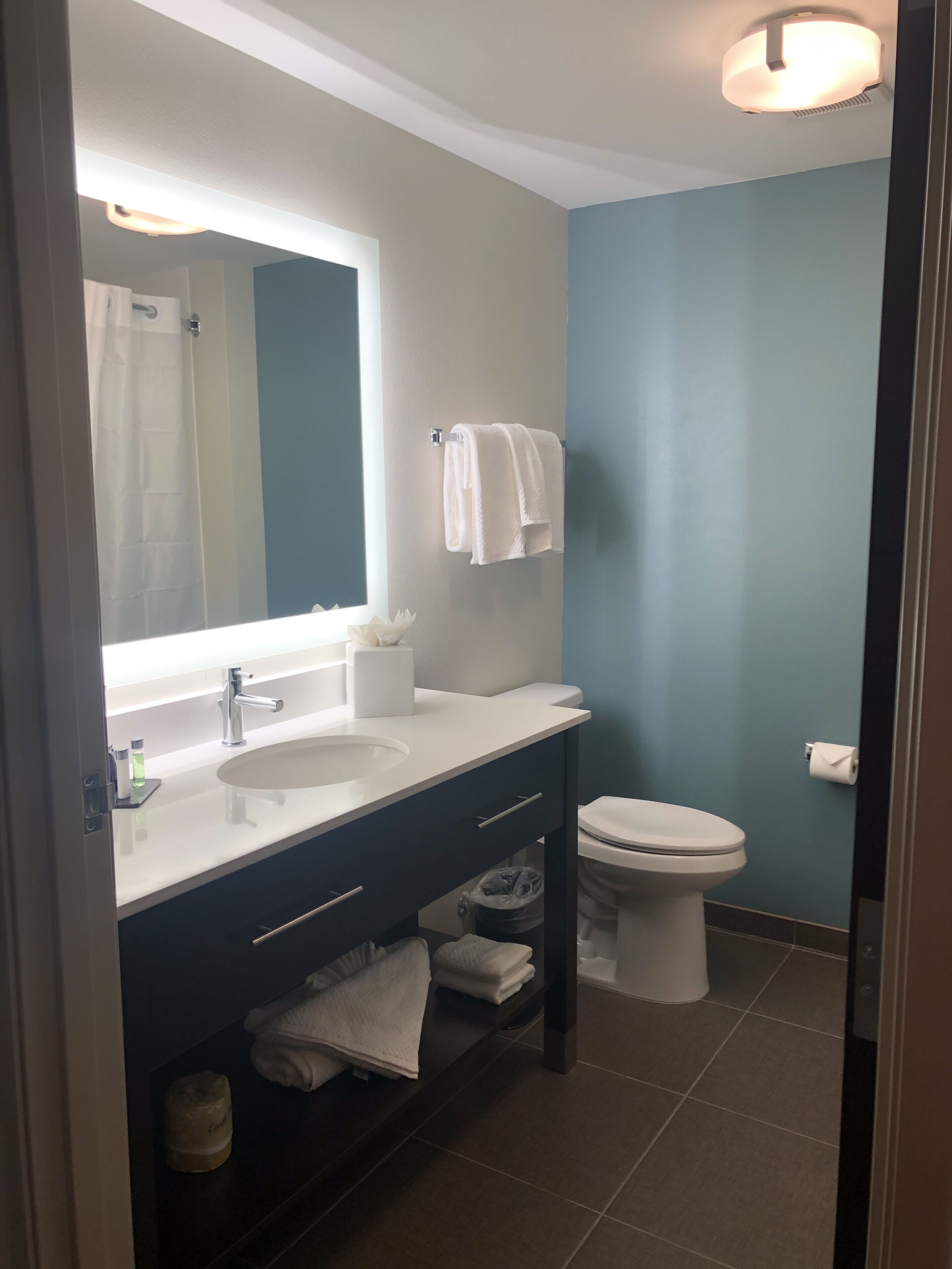 standard room, 2 queen beds, non smoking | bathroom | hair dryer, towels