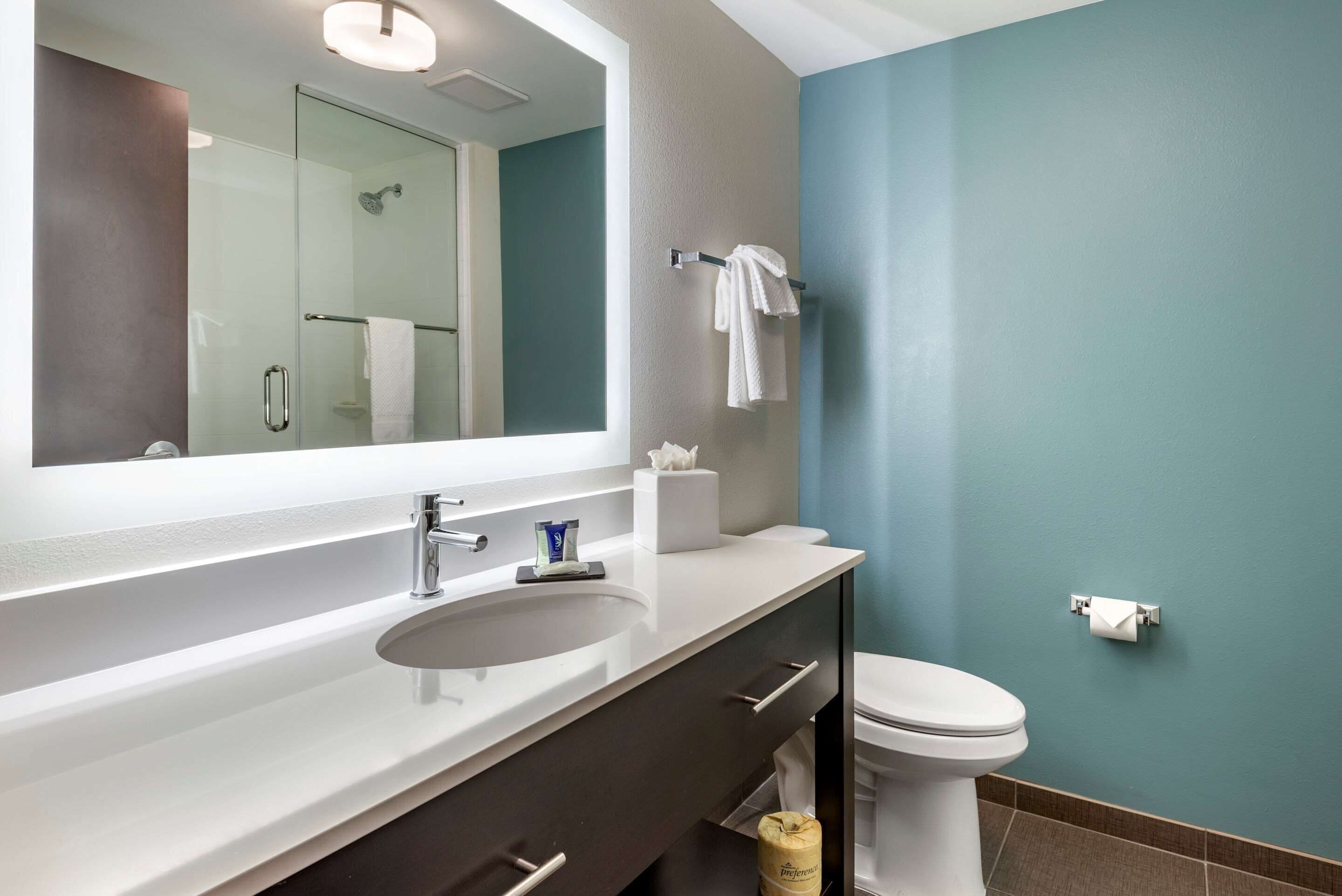 standard room, 1 king bed, non smoking | bathroom | hair dryer, towels