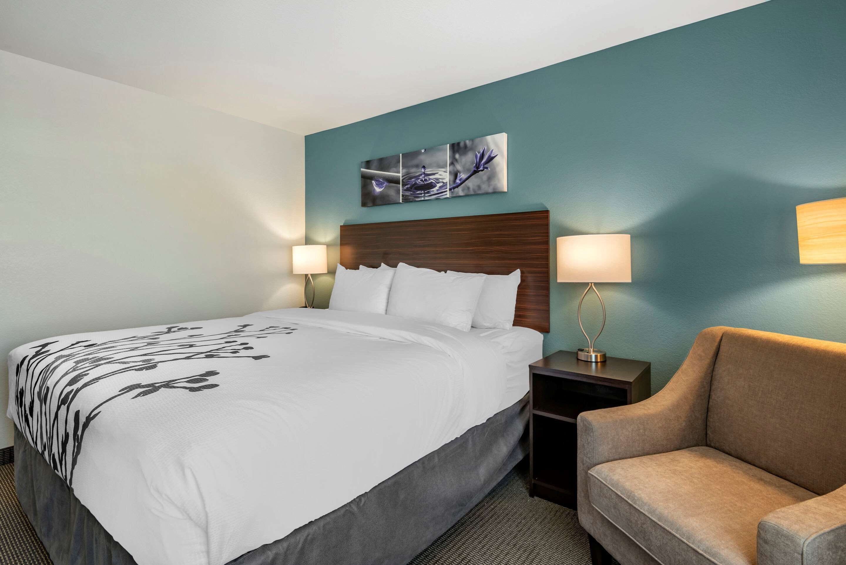 A hotel room with a bed, a nightstand, a lamp, and a sofa.