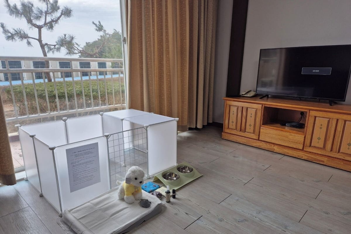 Ein Tier-freundliches Zimmer mit eingezäuntem Bereich, einem Fernseher und Blick ins Freie.