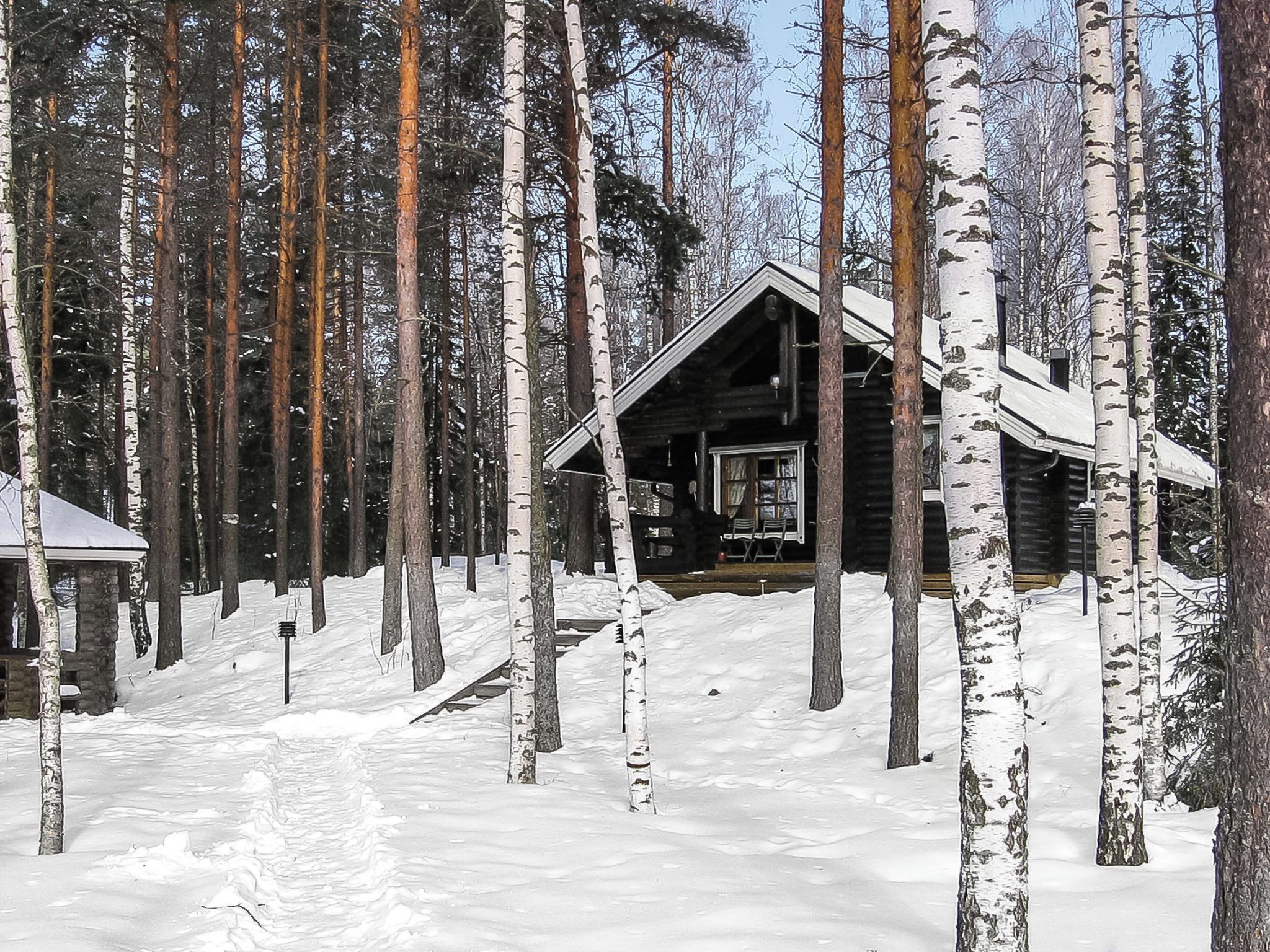 A cabin surrounded by tall birch trees in a snowy forest.