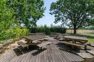 Una terraza de madera con mesas de picnic y bancos, rodeada de árboles y follaje.