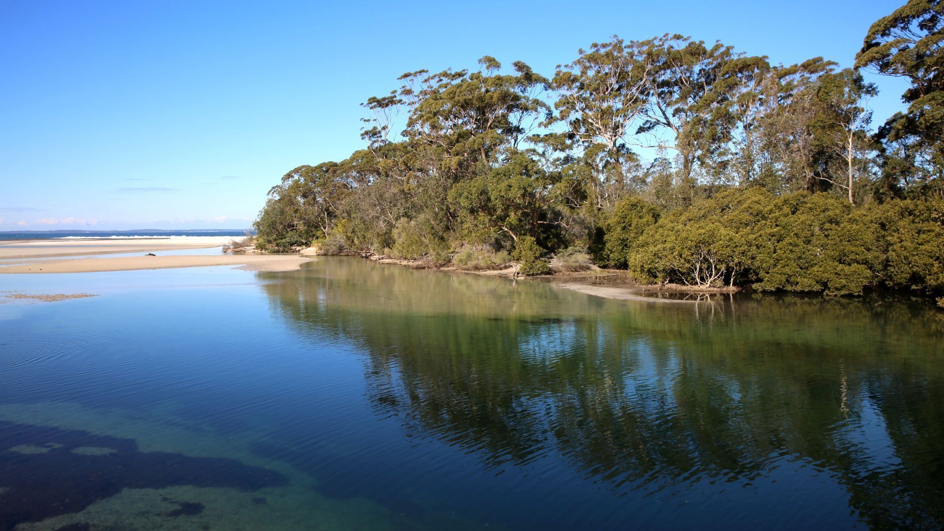 Een kalm meer met helder water, omringd door dichte bomen en een zandstrand.