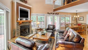 Télévision, cheminée, lecteur de DVD, livres