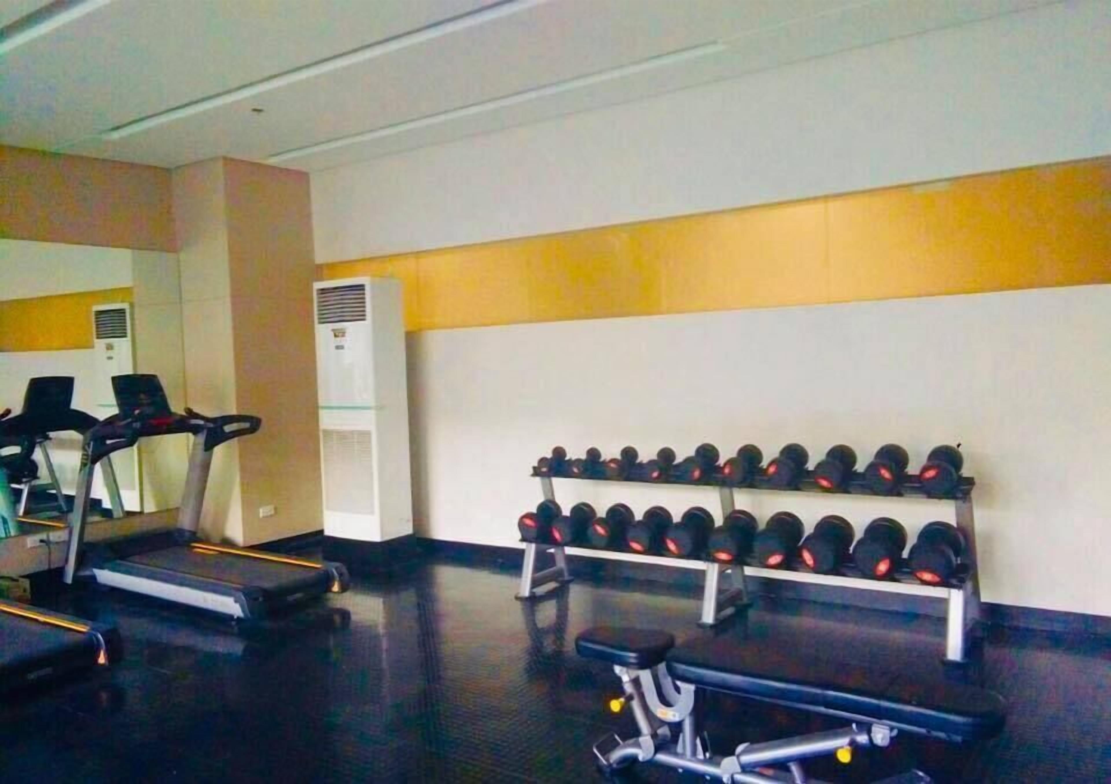 A gym with treadmills, dumbbells, and a bench.