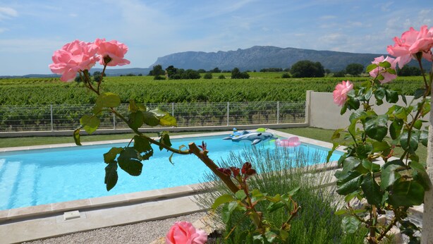 A swimming pool with a view of a vineyard and mountains in the background. - View Sainte Victoire, large new apartment with swimming pool near Aix-en-Provence (Pourrières)