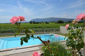Una piscina con vistas a un viñedo y montañas al fondo.