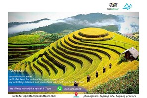 Explore the lush, terraced fields with a charming structure in the distance.