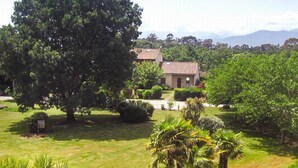 Un grand arbre au premier plan, un bâtiment avec un toit en tuiles à l’arrière-plan et un ciel dégagé.