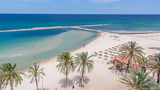 Una playa con aguas turquesas cristalinas, una orilla de arena y palmeras.