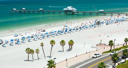 Coastal Dunedin with GOLF CART!