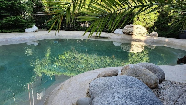 A swimming pool with clear water, surrounded by rocks and greenery. - Complex Villa Brigantina (Nessebar)