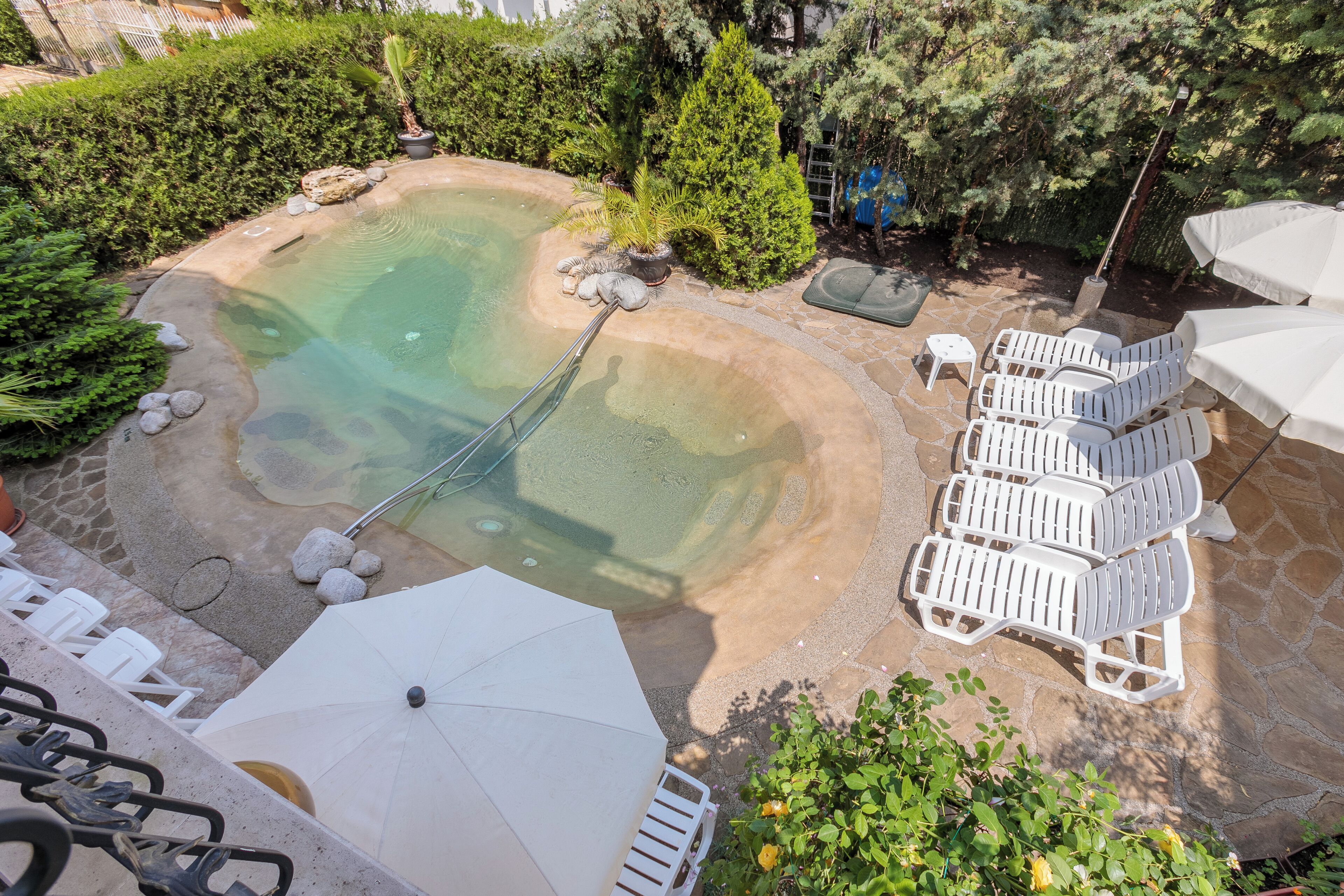Un espace piscine agrémenté de chaises longues et de parasols, entouré de verdure et d’arbres.