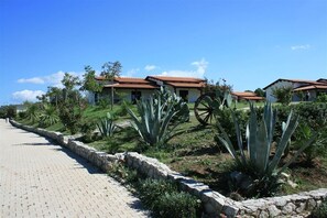 A pathway leading to a row of houses with a stone wall and cacti in the foreground. - Agriturismo Ninea (Ricadi)