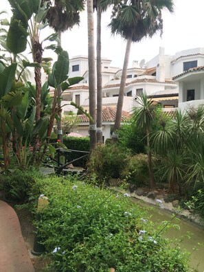 A lush garden with palm trees, a small water feature, and a pathway.
