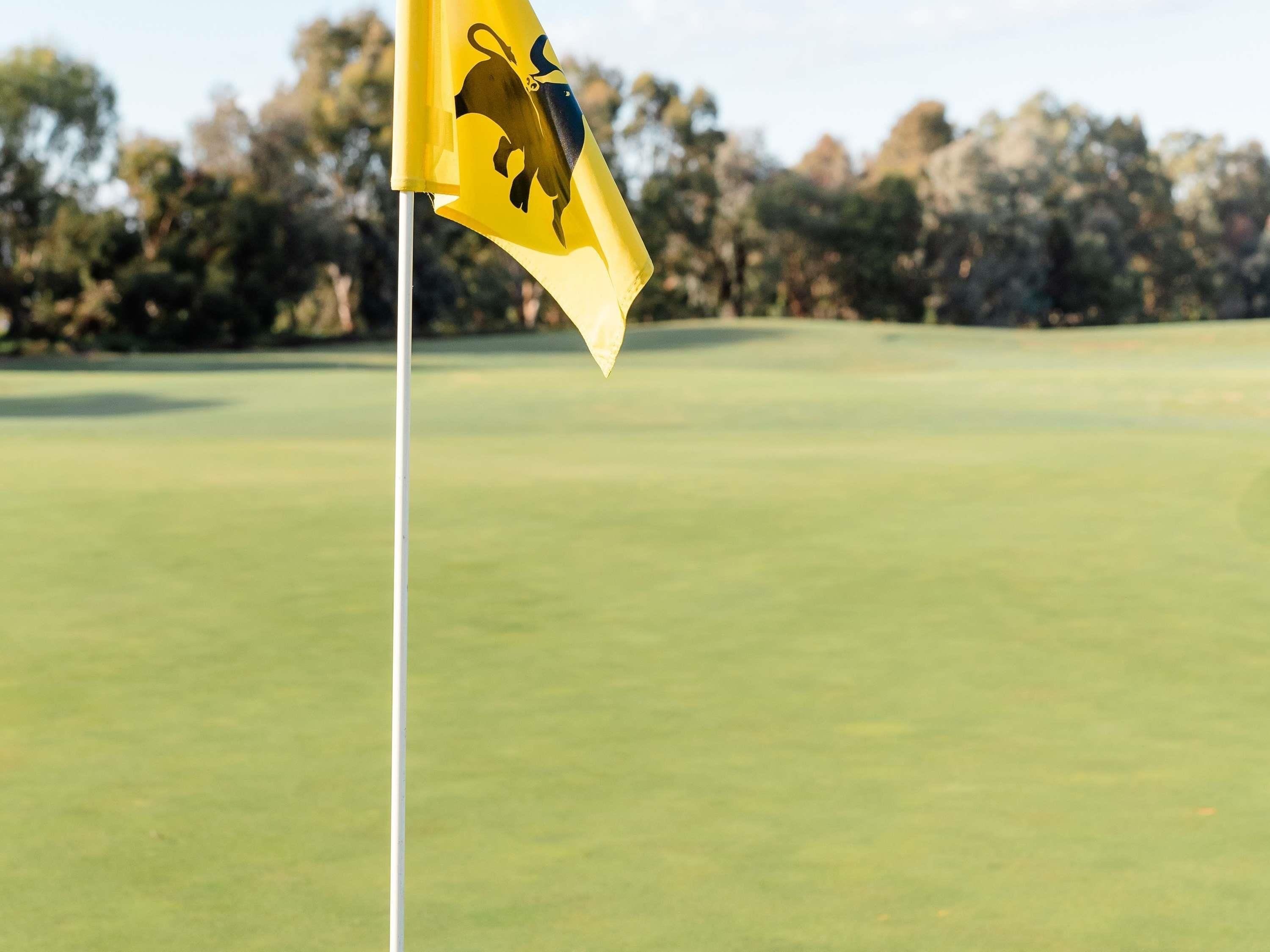 Eine Golf-Flagge an einem Fahnenmast, vor einem Hintergrund aus Grünfläche und Bäumen.