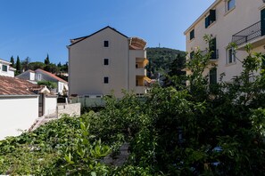 公寓 (Comfort One Bedroom Apartment) | 外观