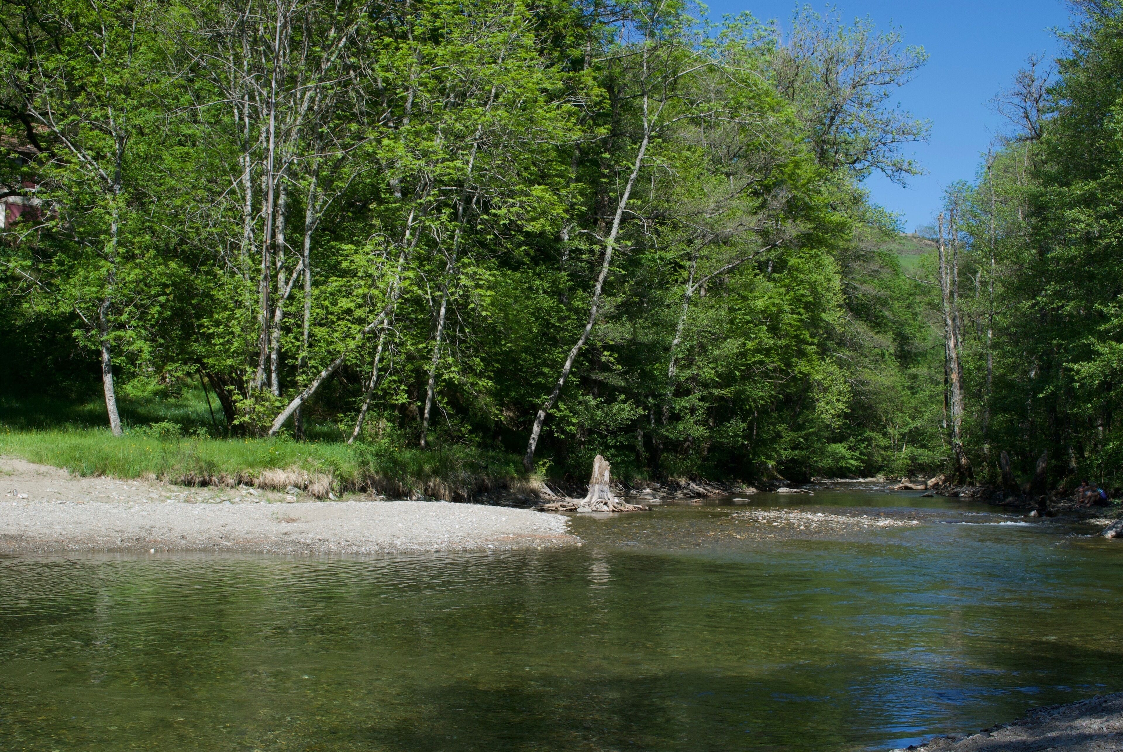 Ein Fluss, umgeben von dichtem Grün.