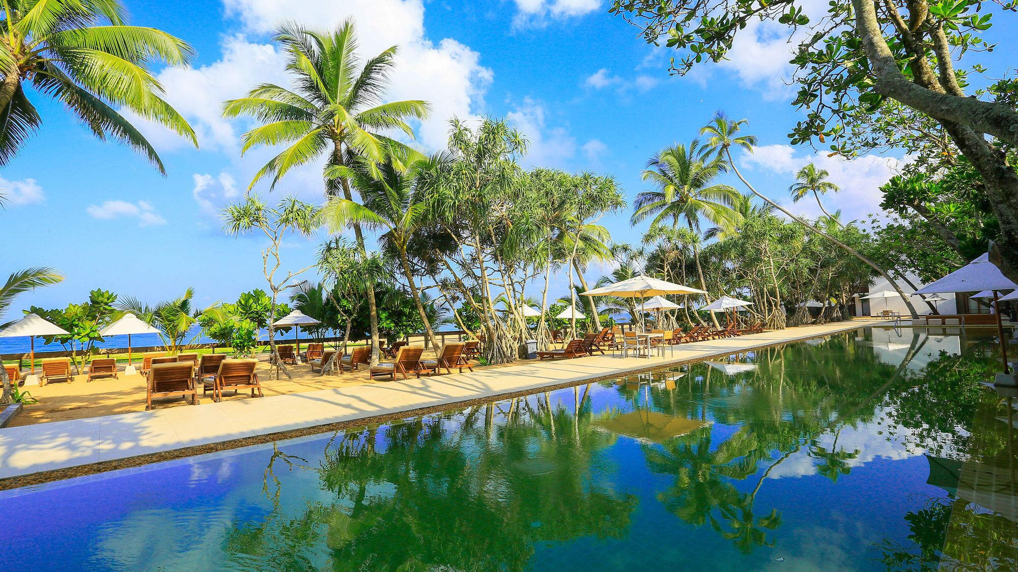 Un espace aménagé au bord de la piscine, avec des chaises longues et des parasols, entouré de palmiers et surplombé d’un ciel dégagé.