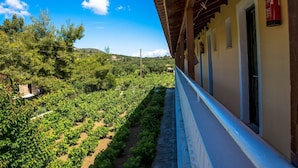 A balcony with a view of a vineyard, a building with a tiled roof, and a red fire extinguisher on the wall. - Nikos Studios (Zakynthos)