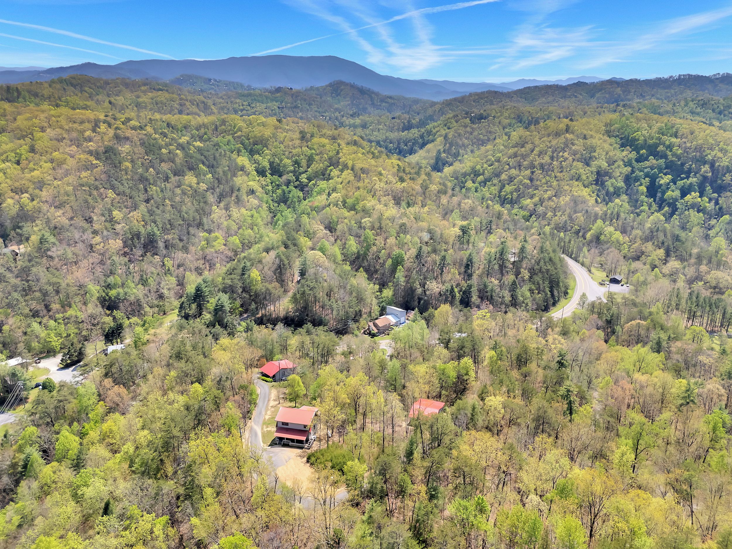 An aerial view of a forested area with a winding road and several buildings with red roofs.