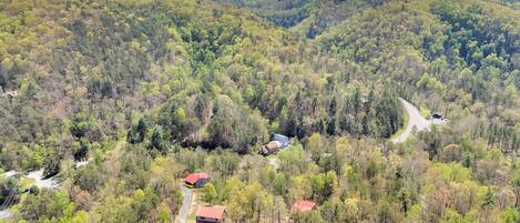 An aerial view of a forested area with a winding road and several buildings with red roofs.
