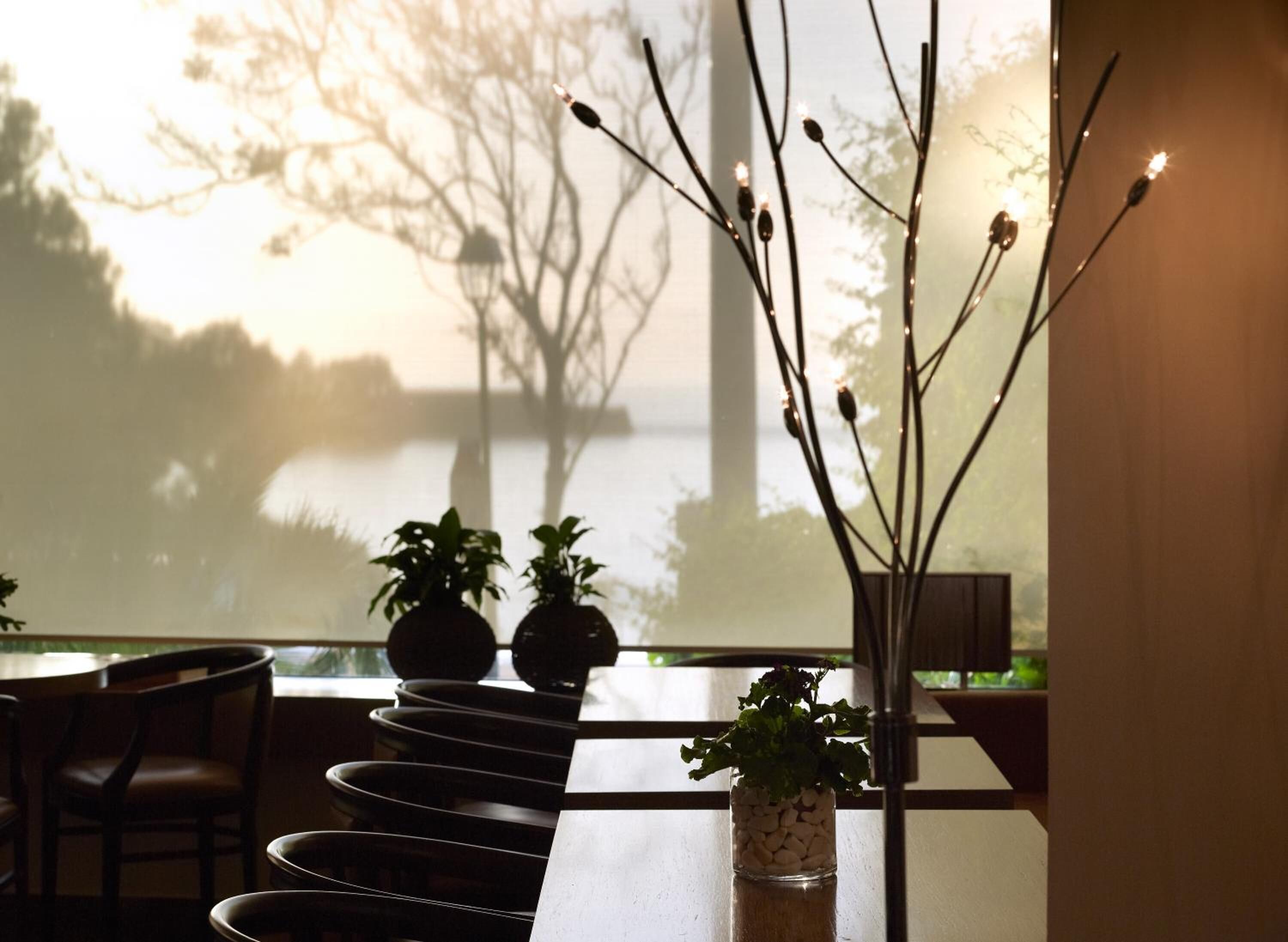 Opções para refeição