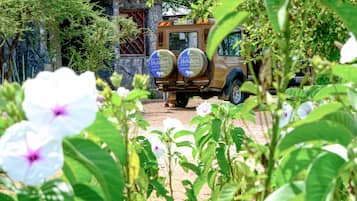 المنطقة المحيطة بالمنشأة