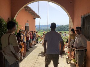 Terraza o patio
